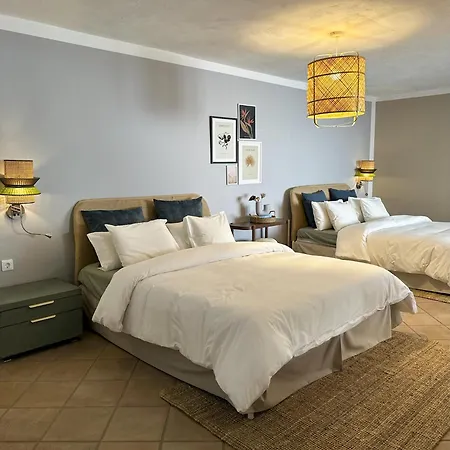 Boutique Leicht&friends Mini-hôtel *